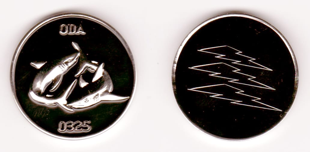 Round shaped, silver colored coin, 1 1/2  inches in diameter.