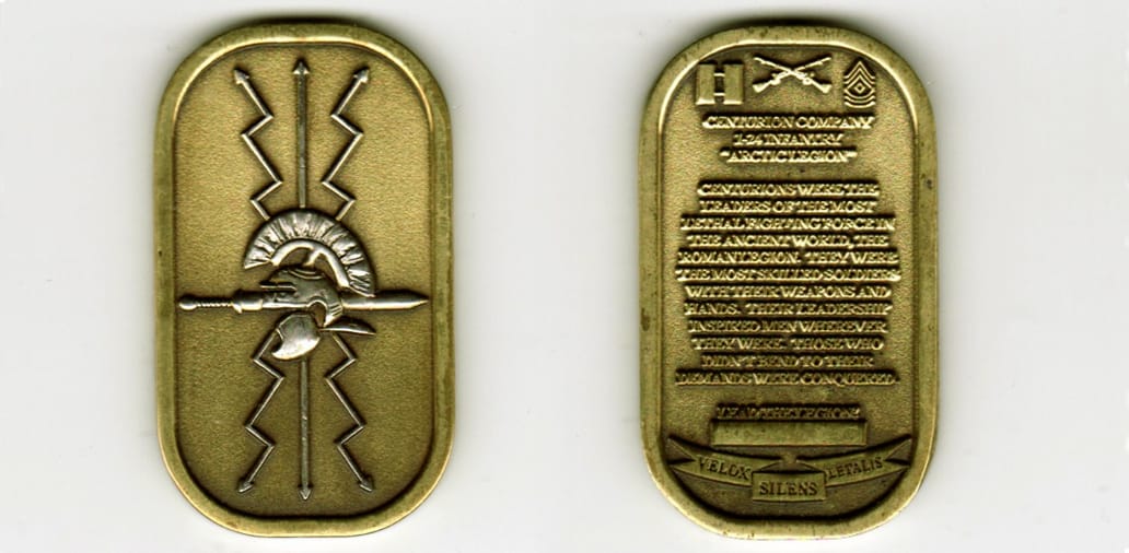 Dog tag shaped, brass colored coin, 1 inch wide x 2 inches high.