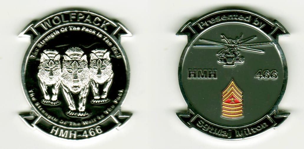 Round shaped, silver colored coin, with attached banners above and beneath, 1-1/2 inches wide x 1 3/4 inches high.