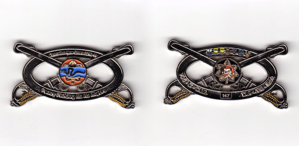 Oval shaped, with crossed sabers extending silver colored coin,     2-1/2 inches wide x 1-1/4 inches high.