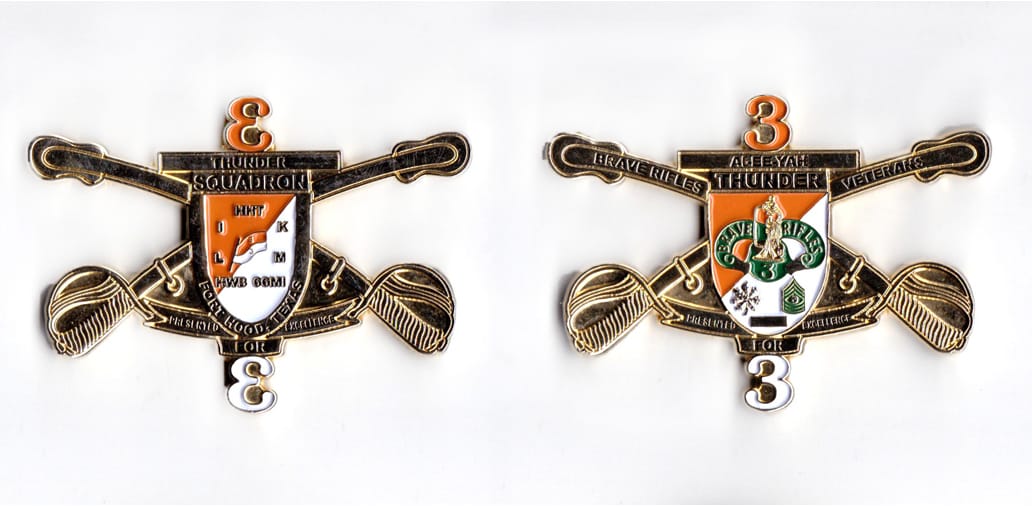 Shield shaped with numbers mounted above and below and crossed sabers extending, gold colored coin, 2-1/2 inches wide x ...