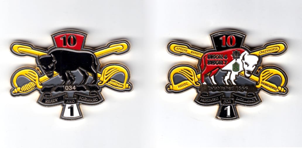 A buffalo on a patch of earth with 1 banner above, 2 below and crossed sabers behind, brass in color, 1 3/4 inches high ...